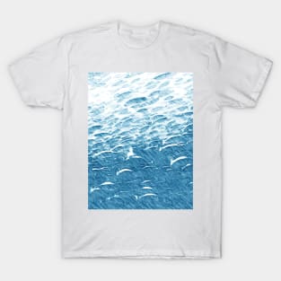 School of Fish T-Shirt